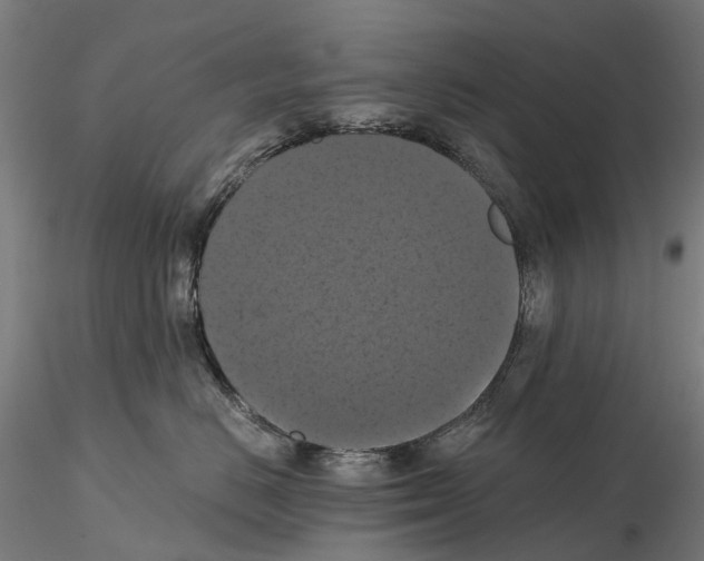 X0000114720670200912021156