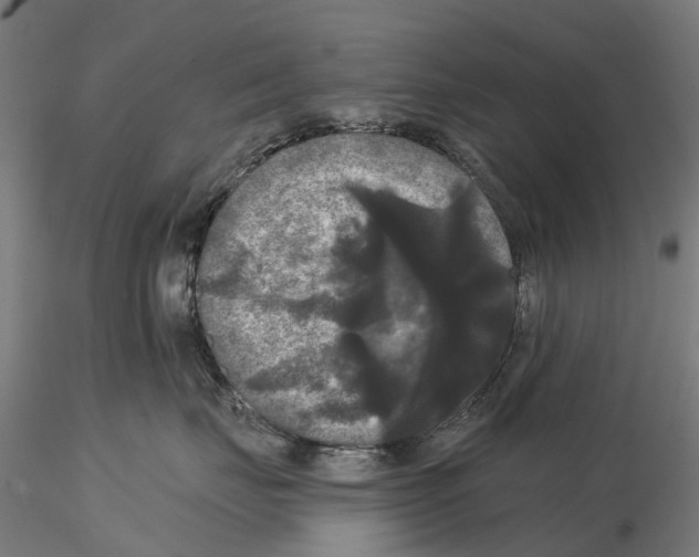 X0000114720671200912021156