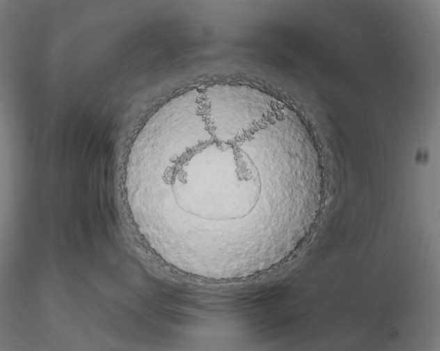 X0000114720672200912021156