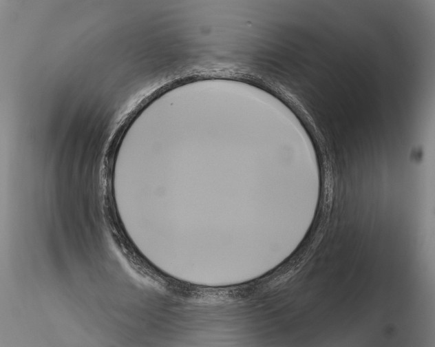 X0000114720674200912021155