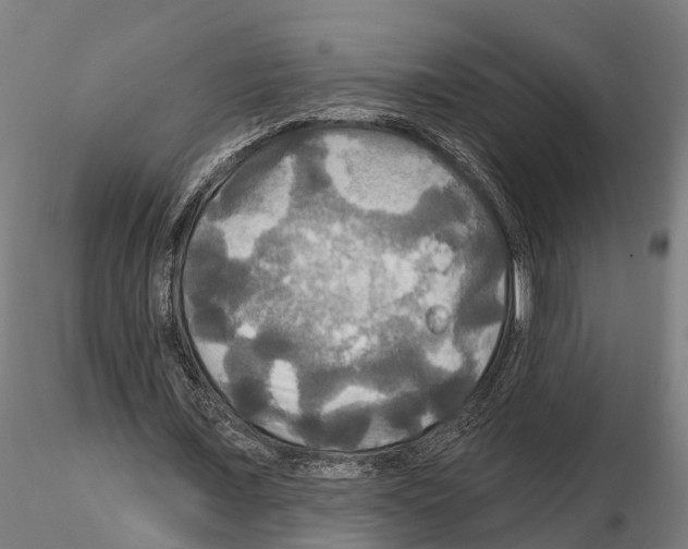 X0000114720675200912021155