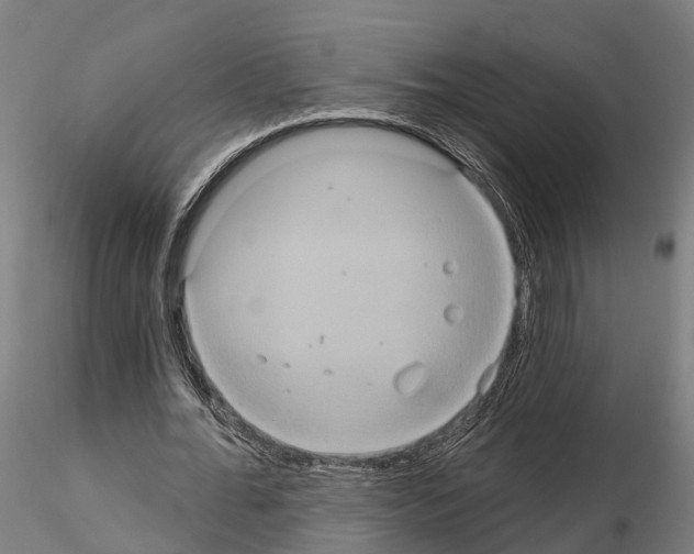 X0000114720676200912021155