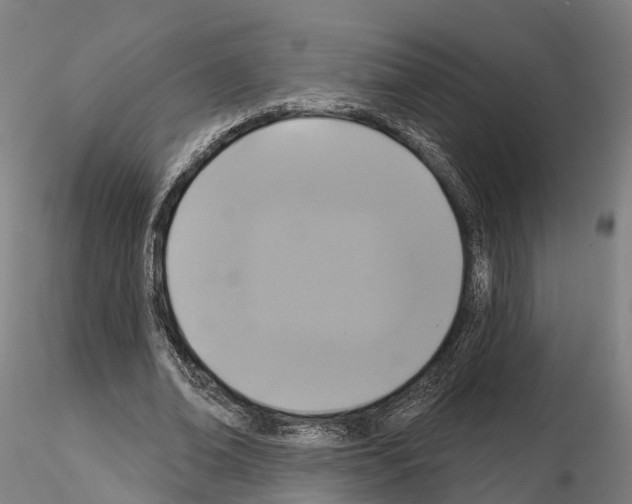 X0000114720678200912021155