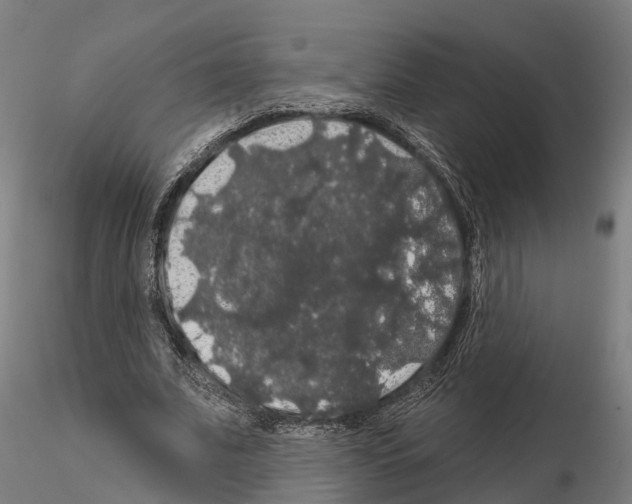 X0000114720679200912021155