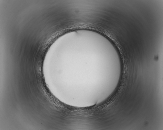 X0000114720681200912021155