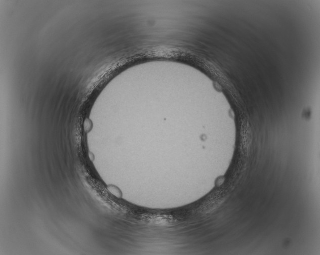 X0000114720683200912021155