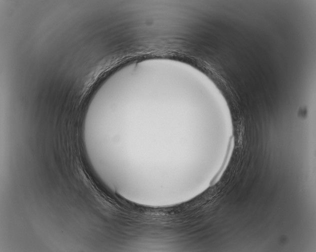 X0000114720685200912021155