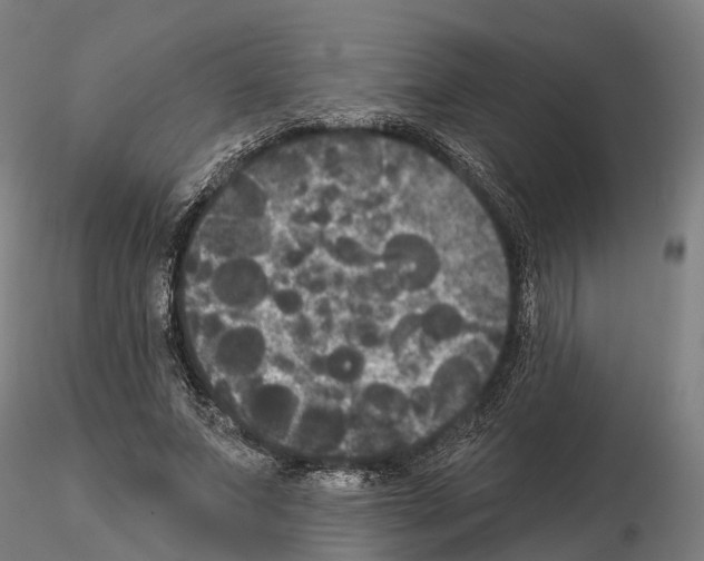 X0000114720687200912021155