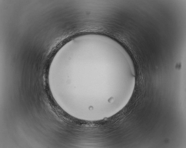 X0000114720688200912021155