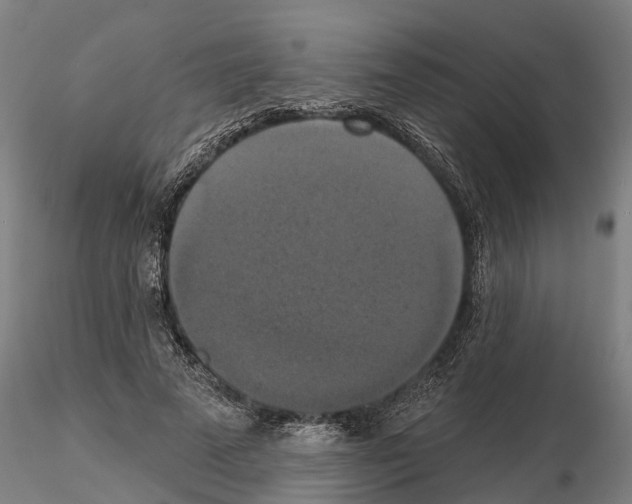 X0000114720689200912021155