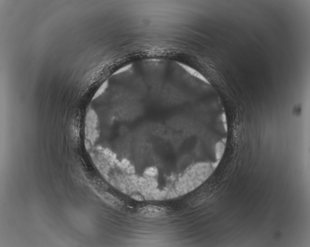 X0000114720691200912021155