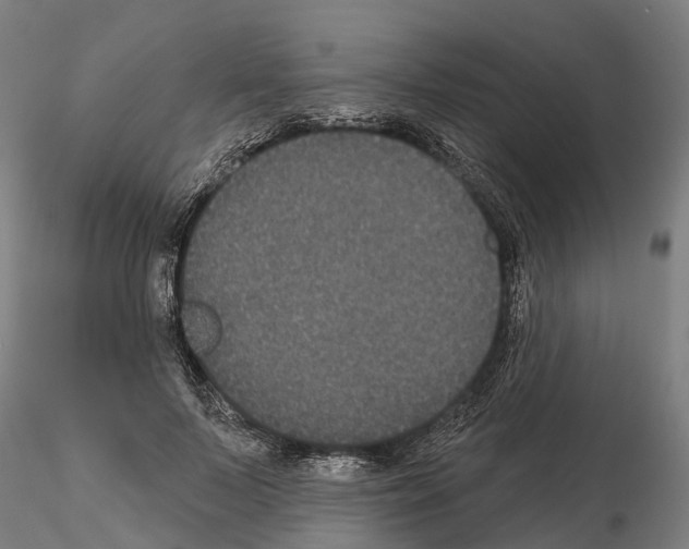 X0000114720695200912021155