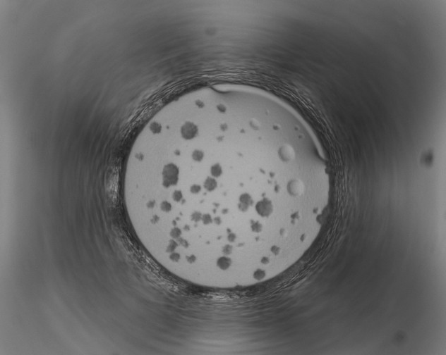 X0000114720697200912021155