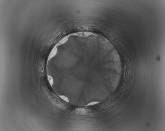 X0000114720699200912021155