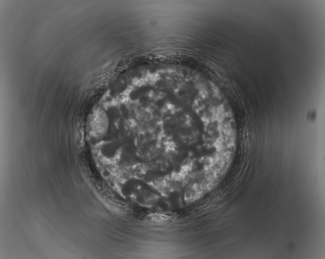 X0000114720703200912021155