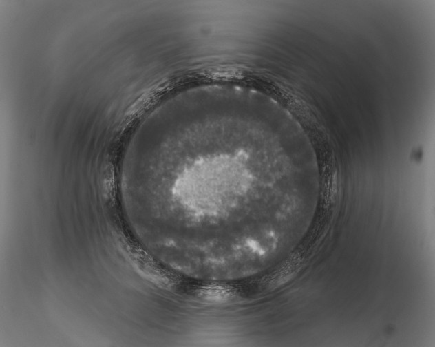 X0000114720704200912021155