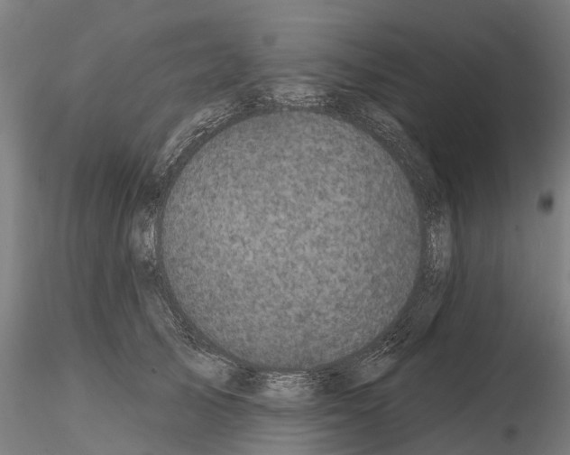 X0000114720705200912021155