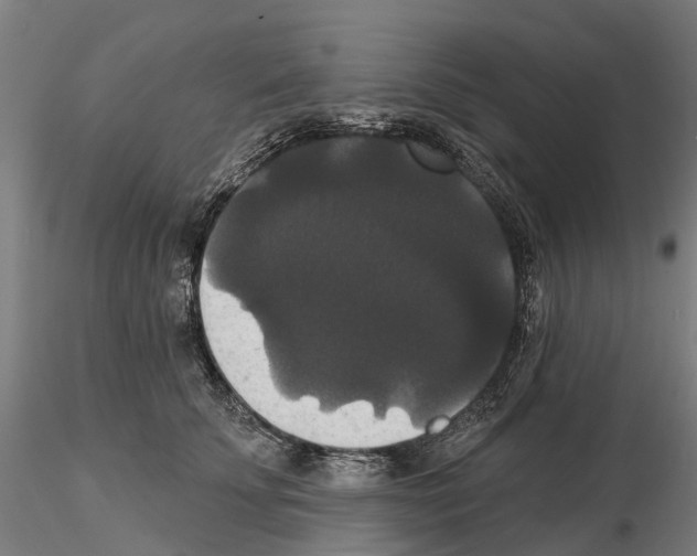 X0000114720707200912021155