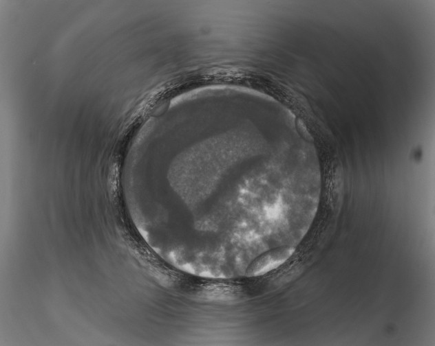 X0000114720708200912021155