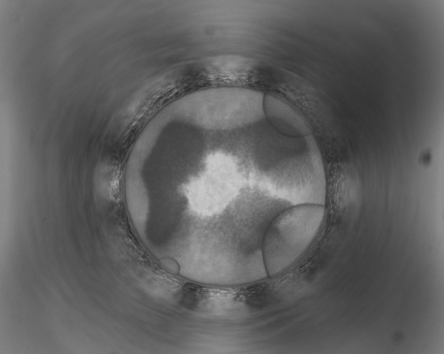 X0000114720709200912021155