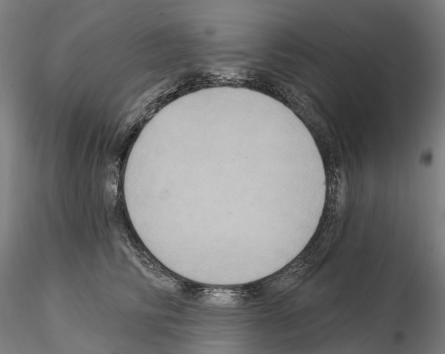 X0000114720710200912021155