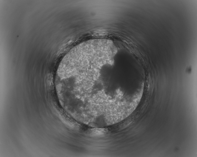 X0000114720711200912021155