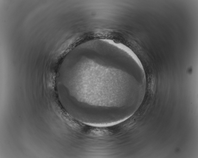 X0000114720712200912021155