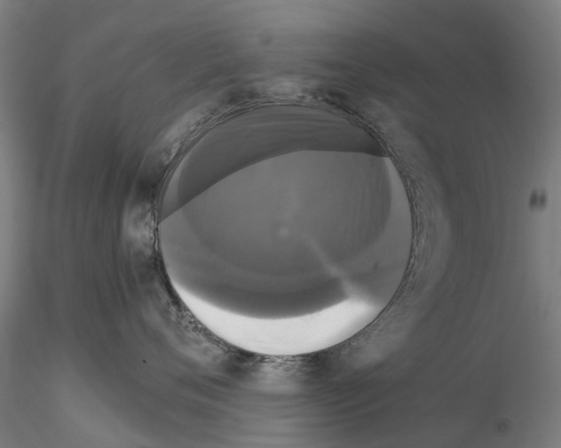 X0000114720720200912021154