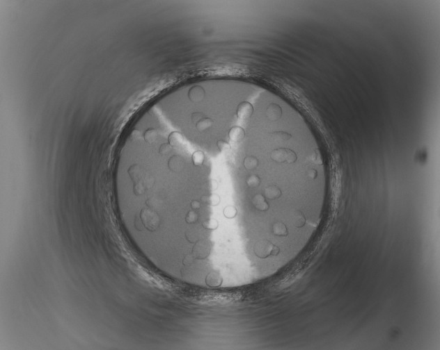 X0000114720721200912021154