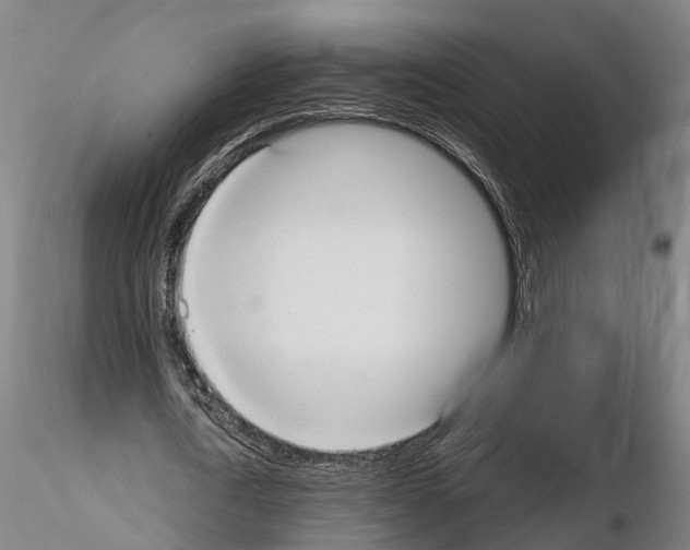 X0000114720722200912021154