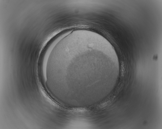 X0000114720726200912021154