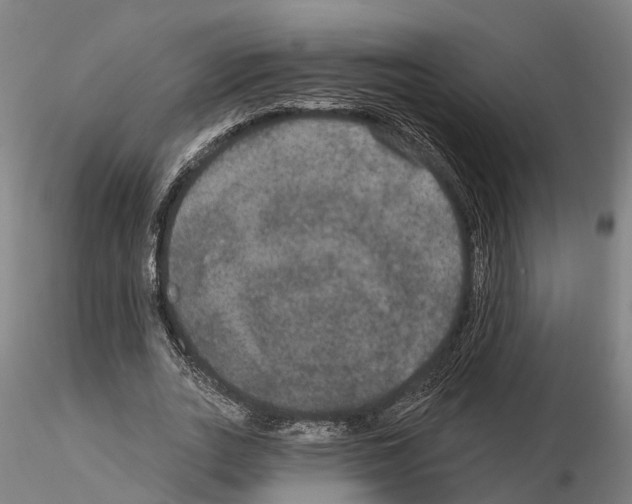 X0000114720727200912021154