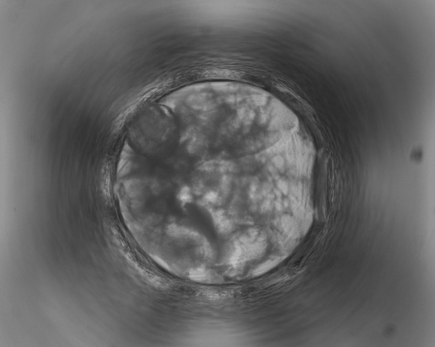 X0000114720729200912021154