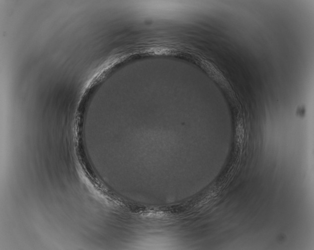 X0000114720730200912021154