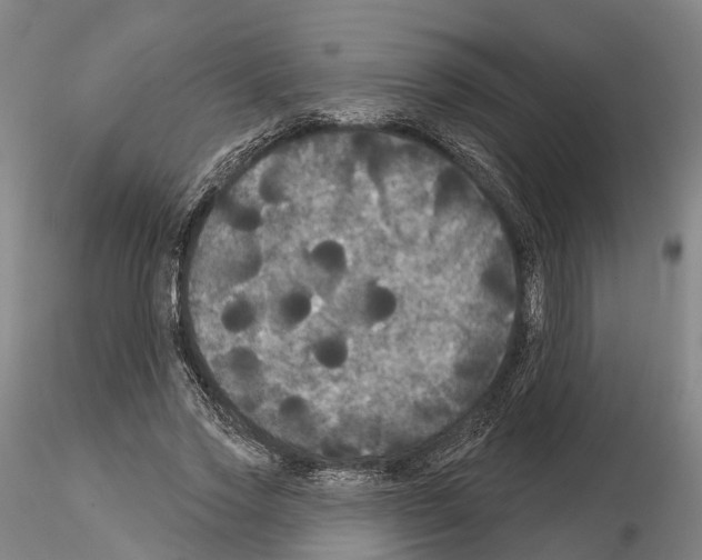 X0000114720733200912021154