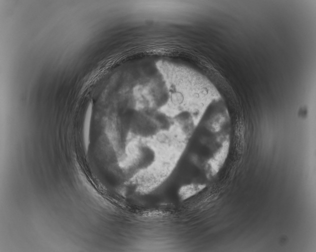 X0000114720734200912021154