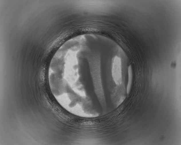 X0000114720735200912021154