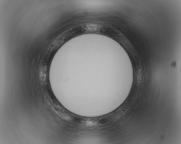 X0000114720737200912021154