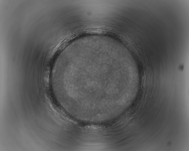 X0000114720739200912021154