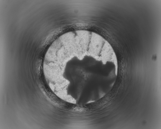 X0000114720742200912021154