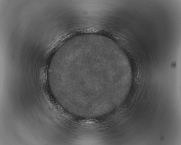 X0000114720743200912021154