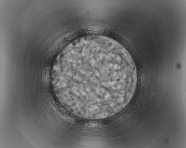 X0000114720745200912021154