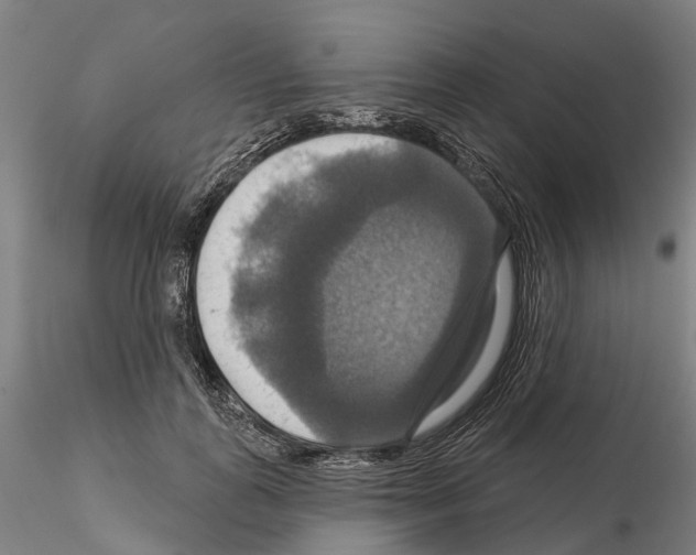 X0000114720747200912021154