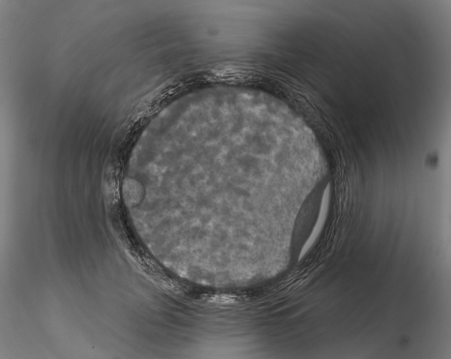 X0000114720751200912021154