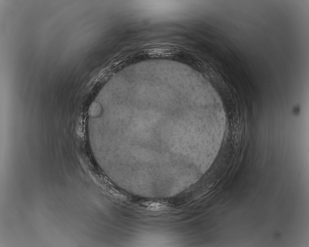 X0000114720755200912021154