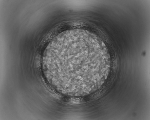 X0000114720757200912021154