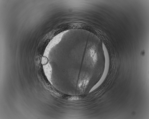 X0000114720759200912021154