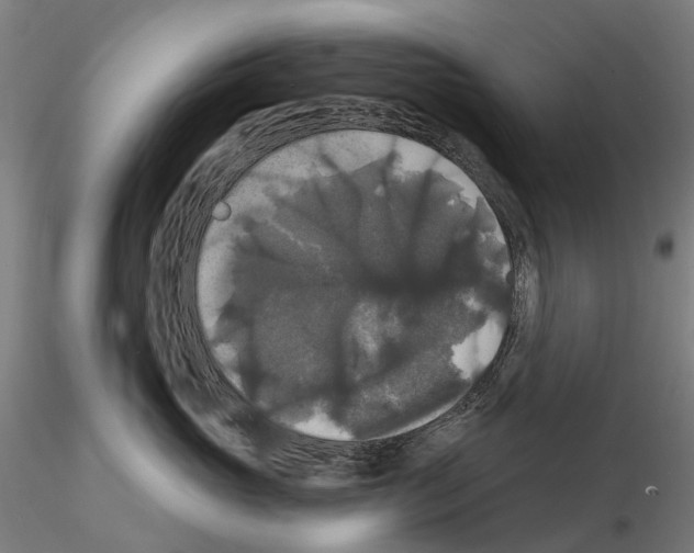 X0000114720765200912021154