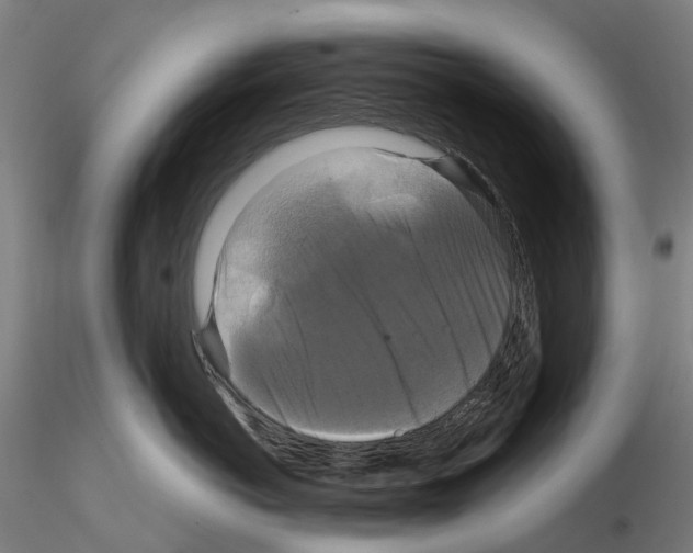 X0000114720766200912021154