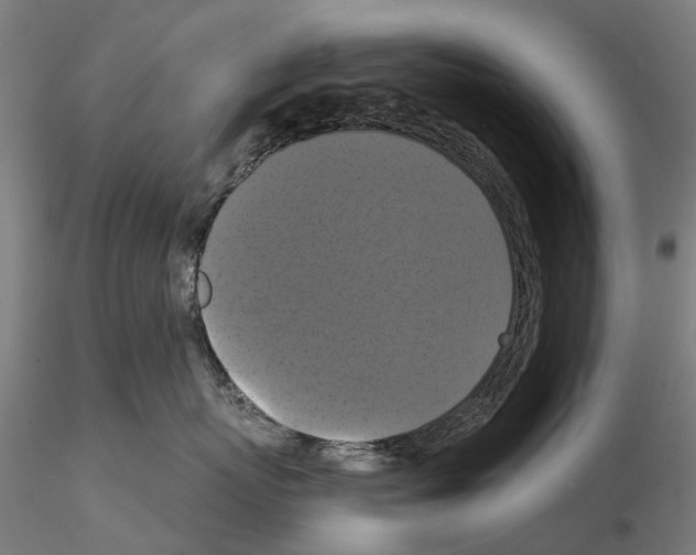 X0000114720767200912021154